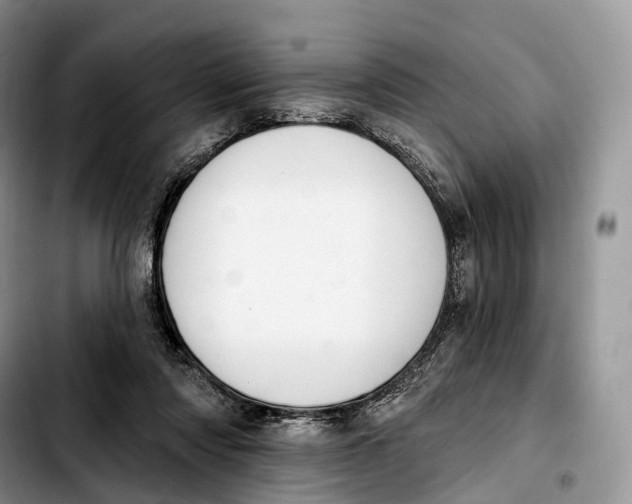 X0000103950310200810101444