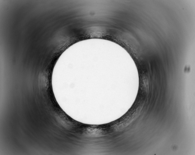 X0000103950311200810101444