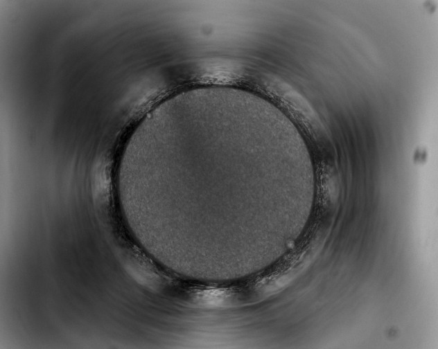 X0000103950312200810101444