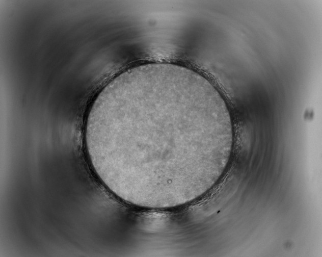 X0000103950313200810101444