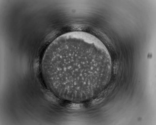 X0000103950314200810101444