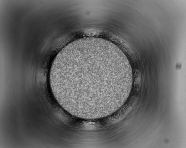 X0000103950315200810101444