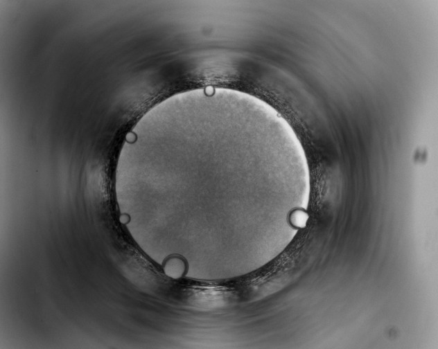 X0000103950316200810101444