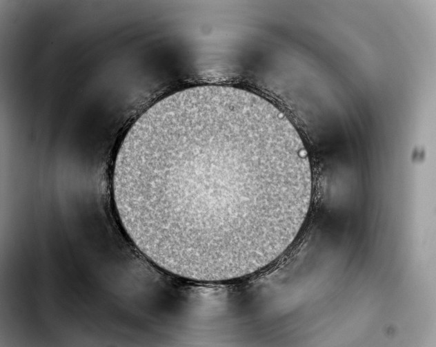 X0000103950317200810101444