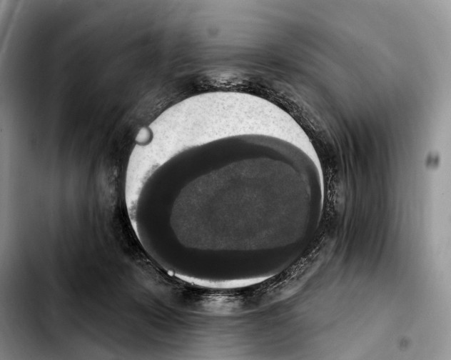 X0000103950319200810101444