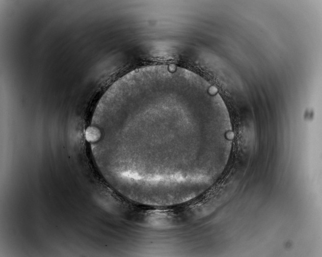 X0000103950320200810101444