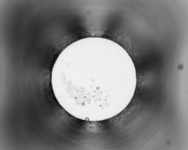 X0000103950321200810101444