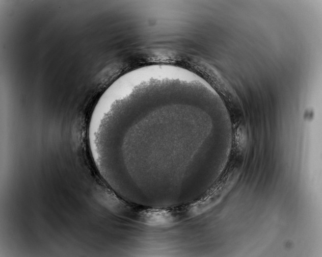 X0000103950322200810101444