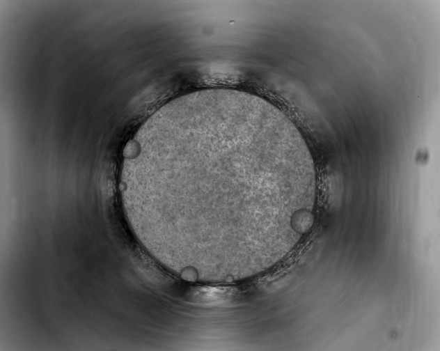 X0000103950323200810101444