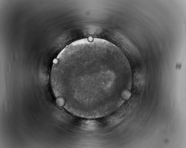 X0000103950324200810101444