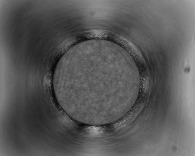 X0000103950326200810101444