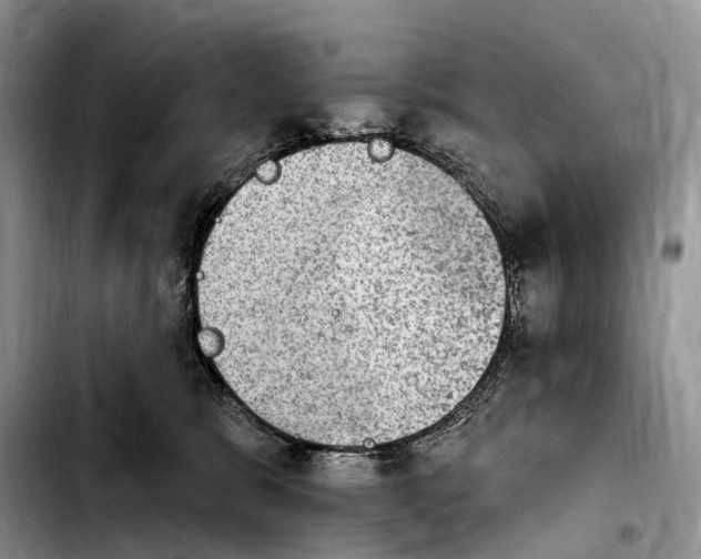 X0000103950327200810101444