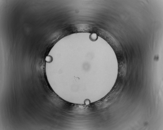 X0000103950329200810101444