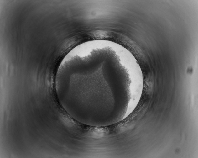 X0000103950330200810101444