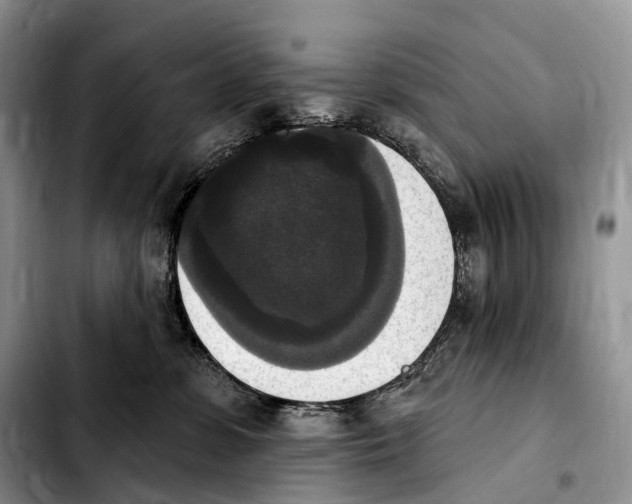 X0000103950331200810101444