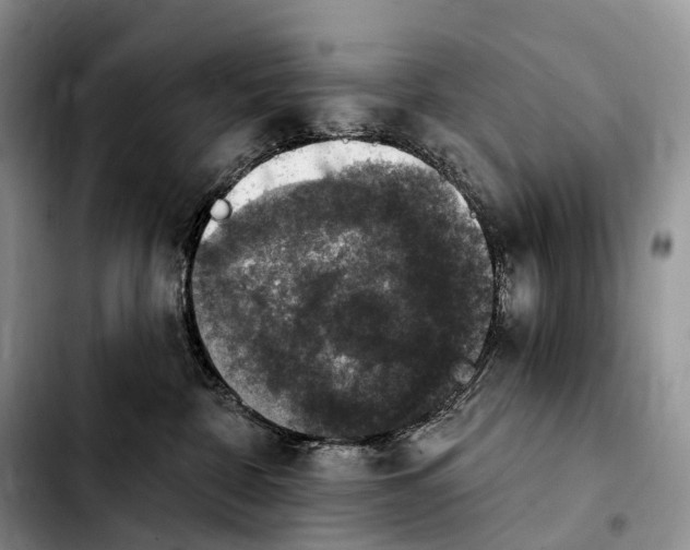 X0000103950332200810101444