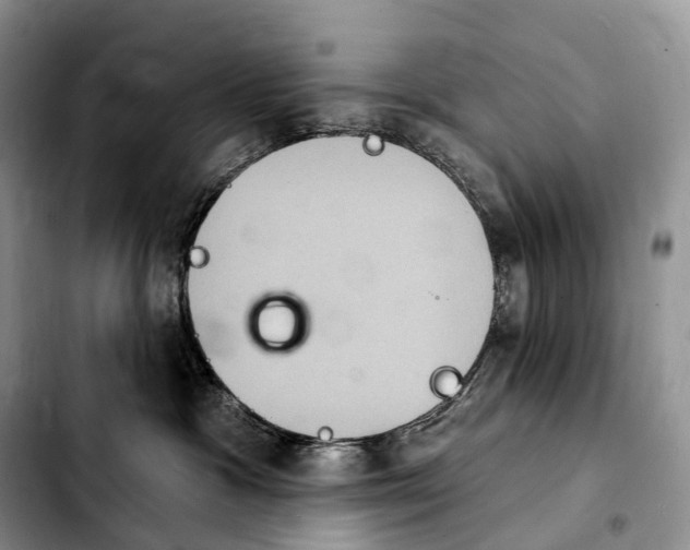 X0000103950333200810101444