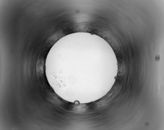 X0000103950334200810101444