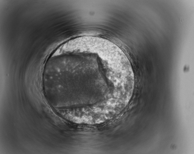 X0000103950337200810101443