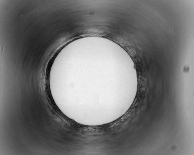 X0000103950338200810101443