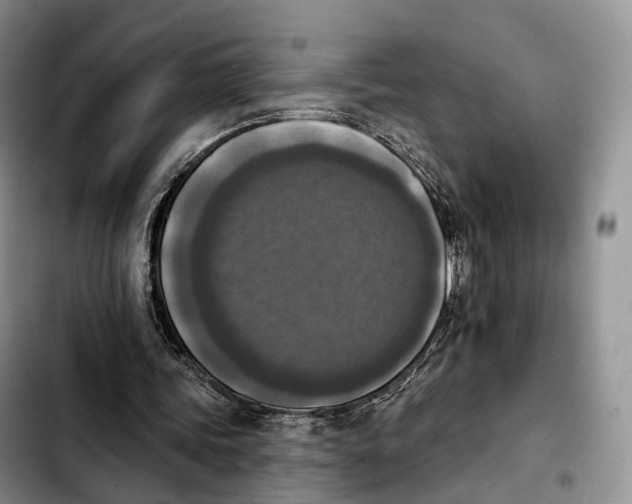 X0000103950339200810101443