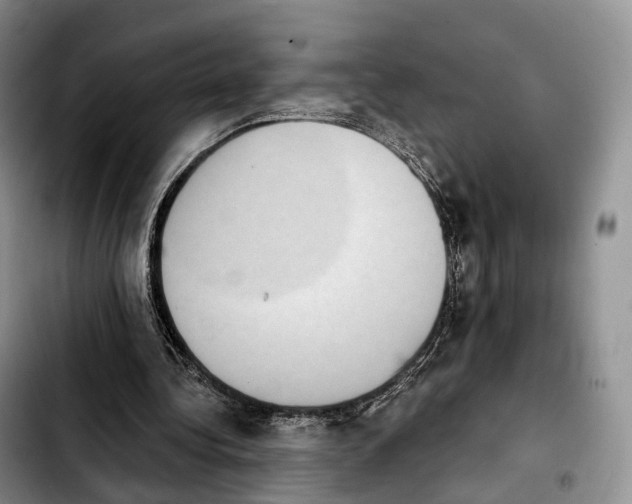 X0000103950340200810101443