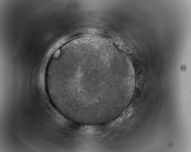 X0000103950341200810101443