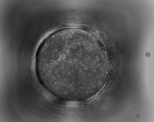 X0000103950342200810101443