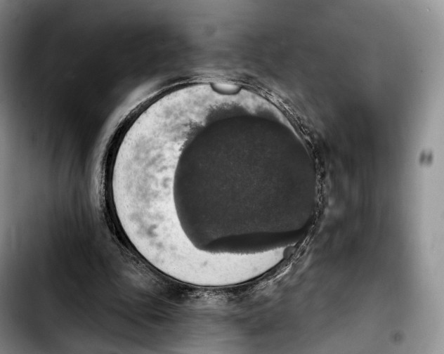 X0000103950343200810101443