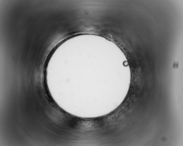 X0000103950344200810101443