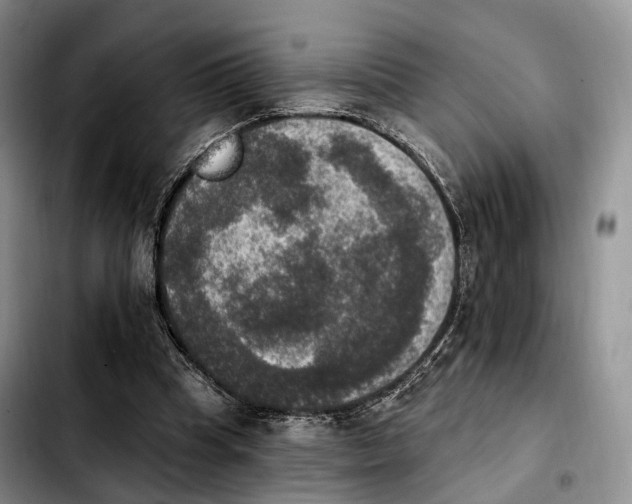 X0000103950345200810101443