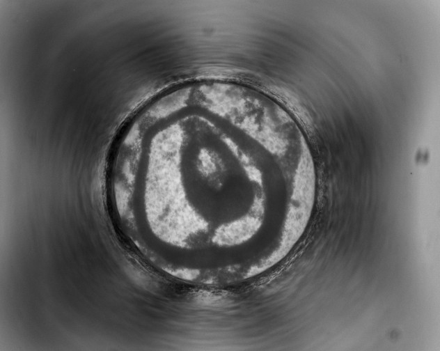 X0000103950346200810101443