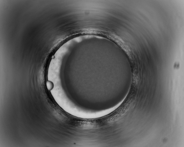 X0000103950347200810101443