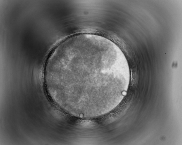 X0000103950348200810101443