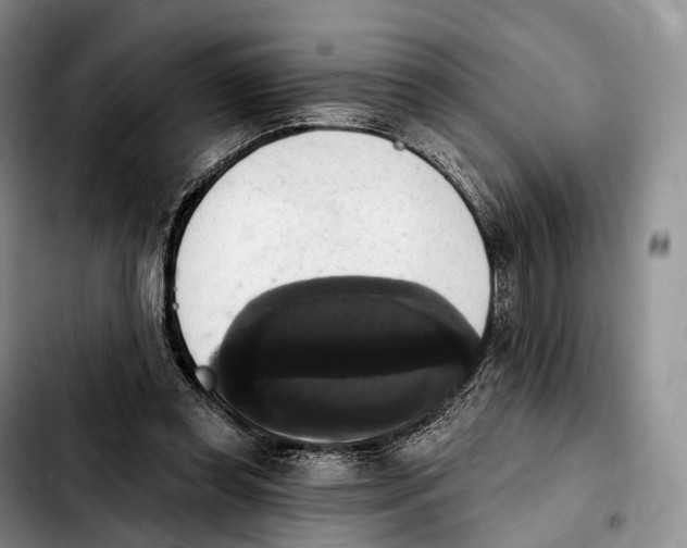 X0000103950349200810101443