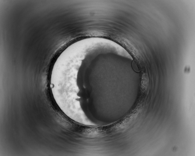 X0000103950351200810101443