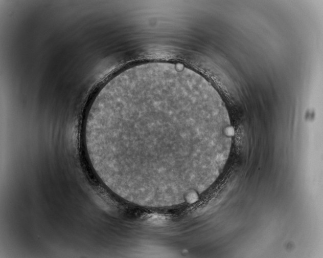 X0000103950352200810101443