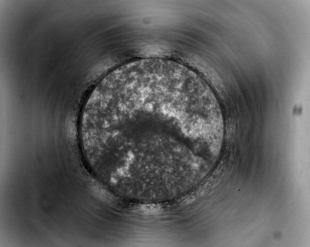 X0000103950353200810101443