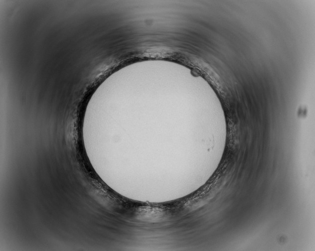 X0000103950354200810101443