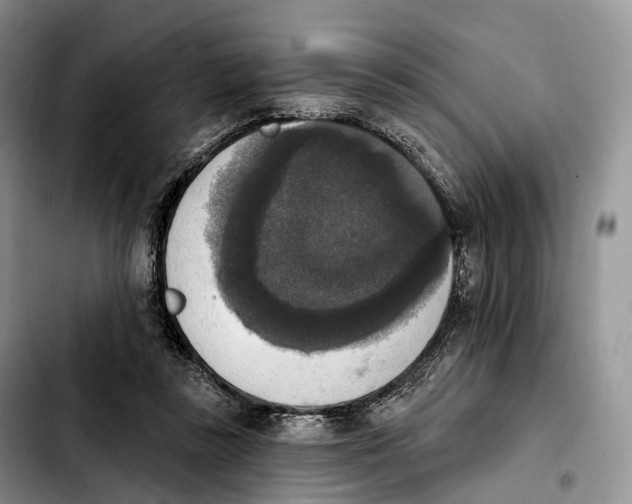 X0000103950355200810101443