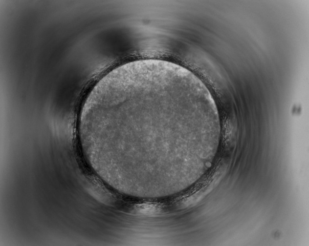 X0000103950356200810101443