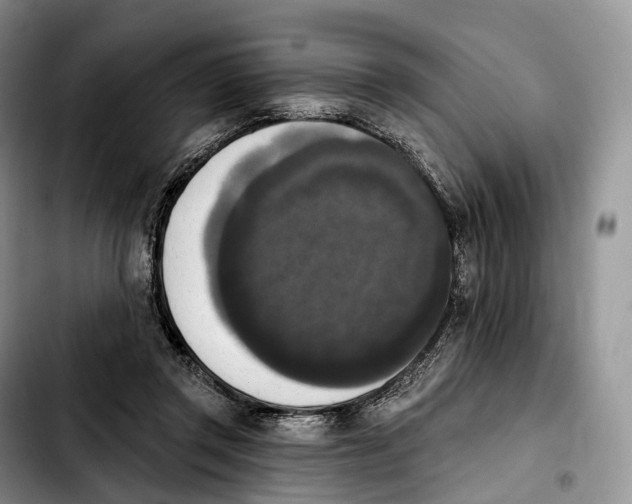 X0000103950357200810101443