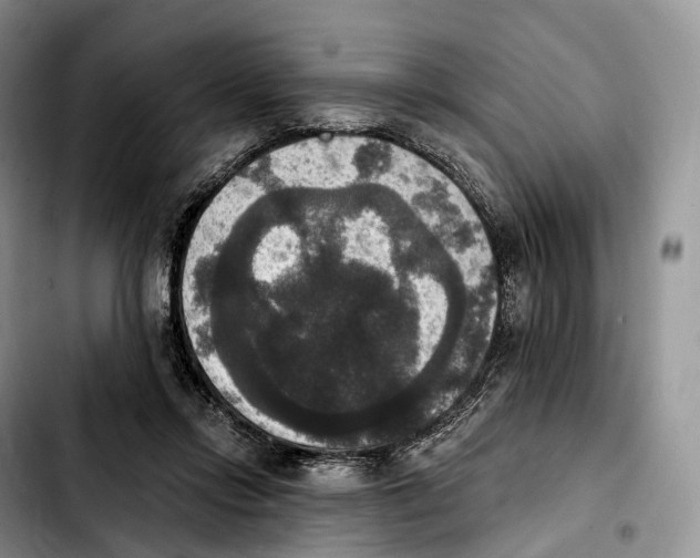 X0000103950358200810101443