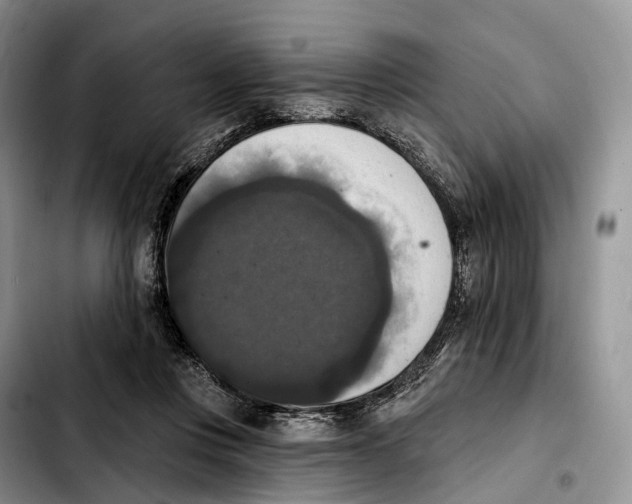 X0000103950359200810101443