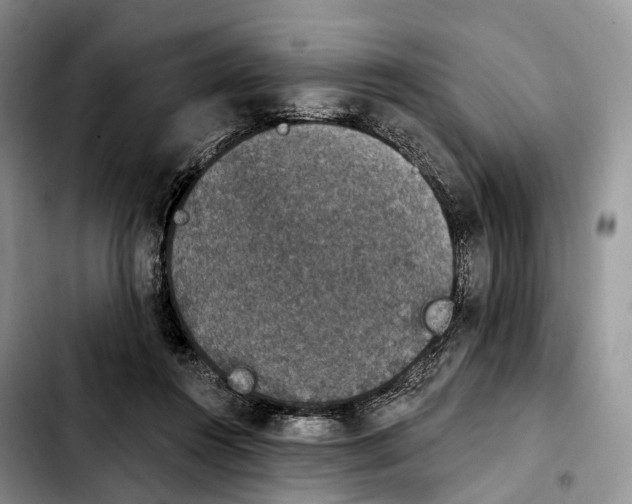 X0000103950360200810101443