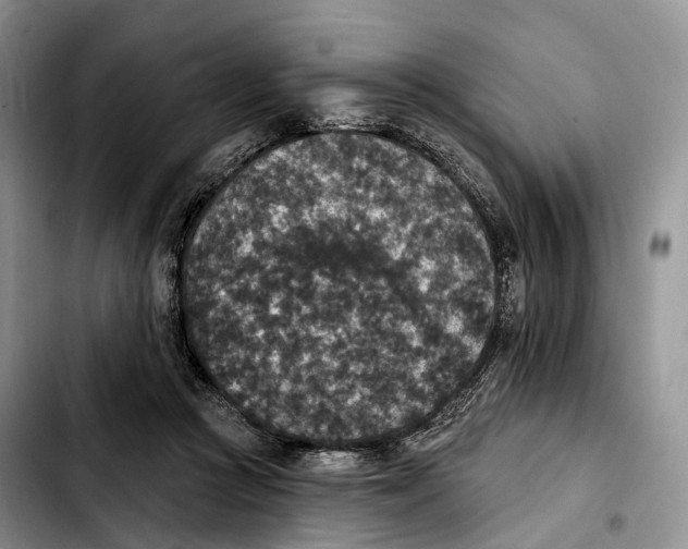 X0000103950361200810101443