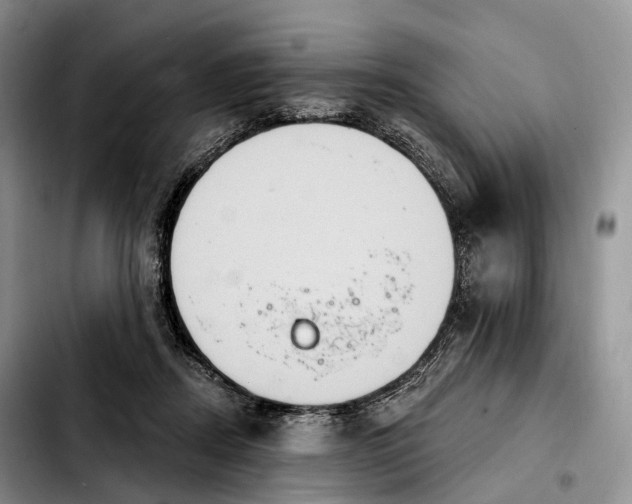 X0000103950362200810101443