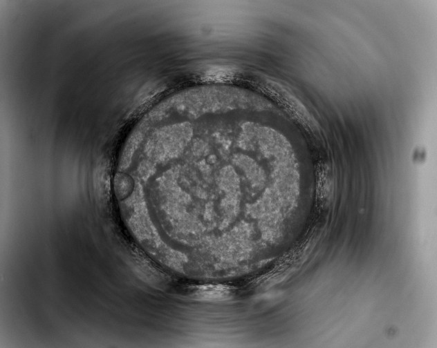 X0000103950363200810101443