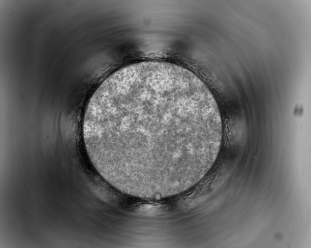 X0000103950364200810101443