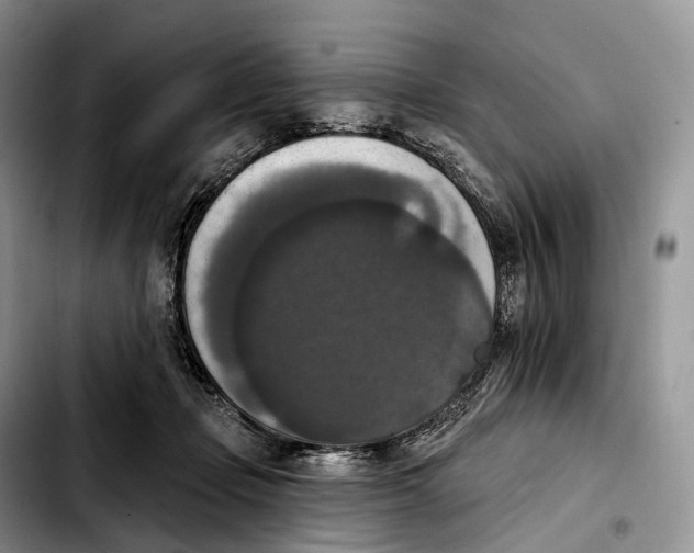 X0000103950365200810101443